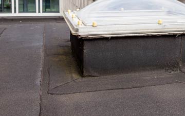 disadvantages of Trebartha flat roofs