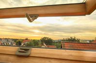 rated Trebartha roof window companies